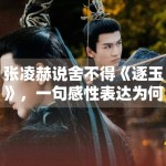 张凌赫说舍不得《逐玉》，一句感性表达为何容易放大角色滤镜